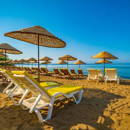 Paradise