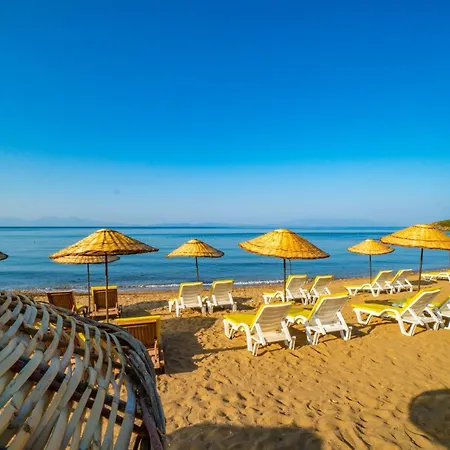 Paradise * Özdere